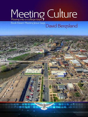 cover image of Meeting Culture